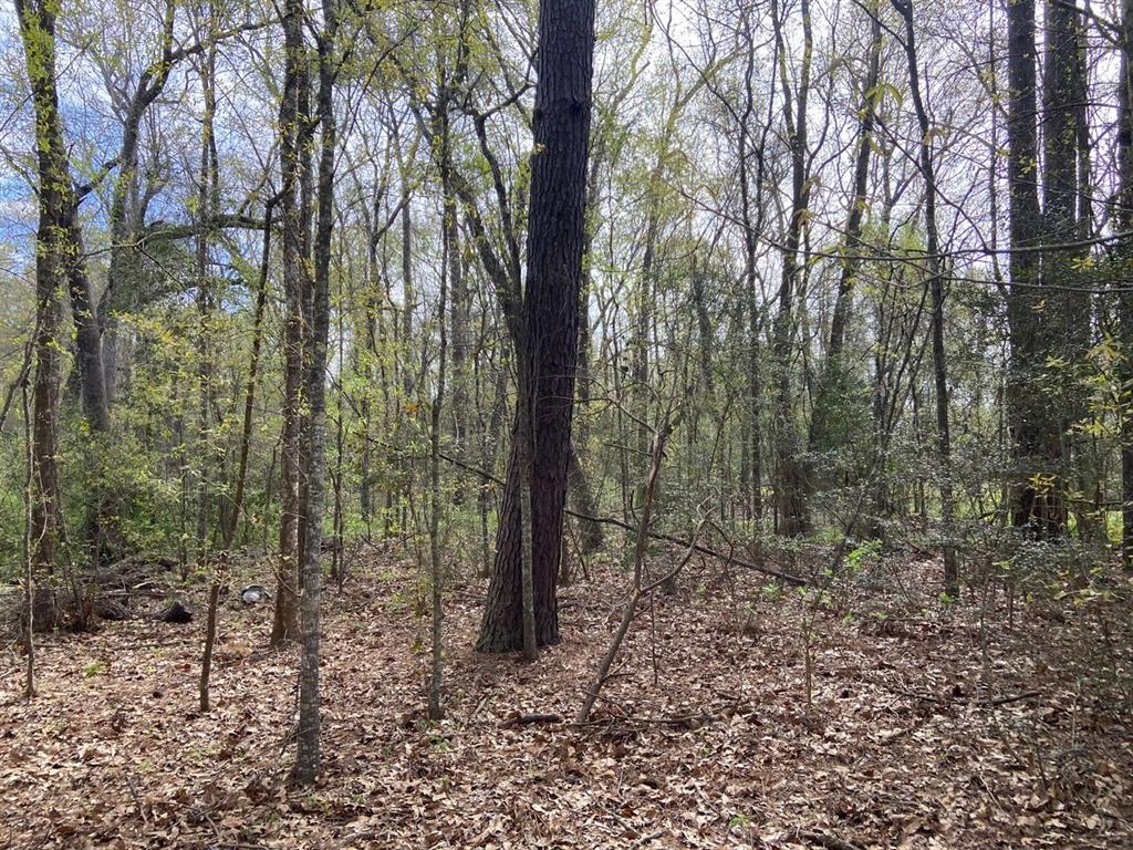 TBD County Road 4012, Dayton, Texas image 3
