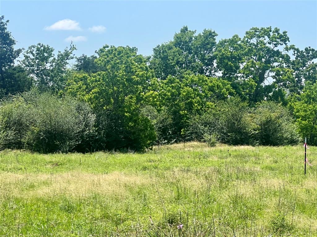 0000 Grubbs Road, Sealy, Texas image 8