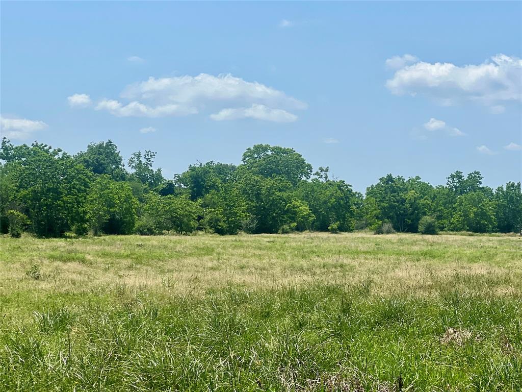 0000 Grubbs Road, Sealy, Texas image 7