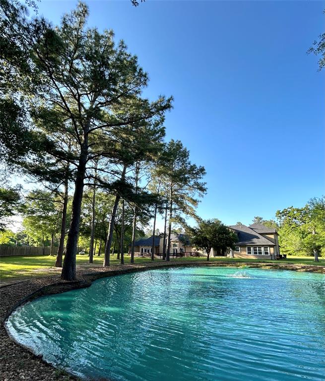 32660 Willow Bend Road, Waller, Texas image 8