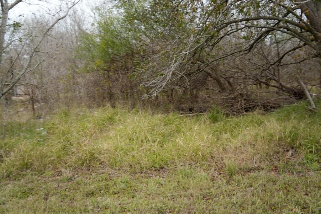 250 Hiller Road, Victoria, Texas image 4