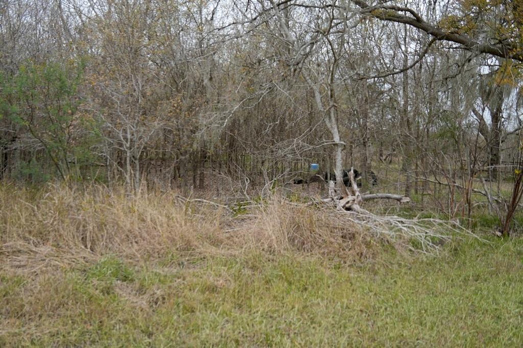 250 Hiller Road, Victoria, Texas image 8