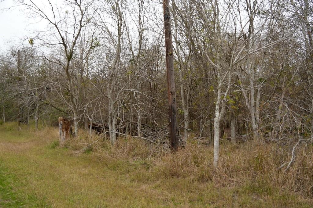 250 Hiller Road, Victoria, Texas image 6