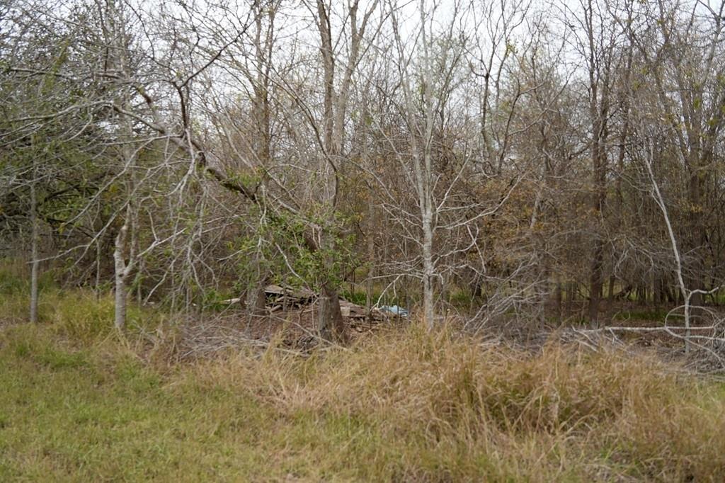 250 Hiller Road, Victoria, Texas image 5