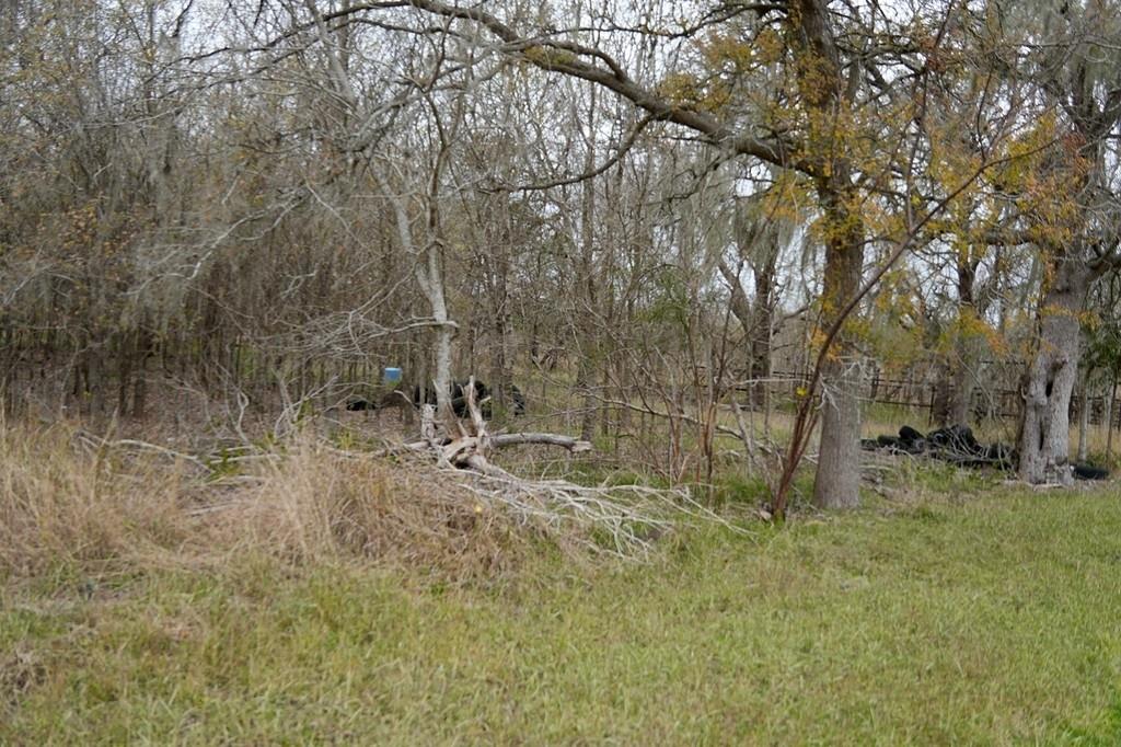 250 Hiller Road, Victoria, Texas image 7
