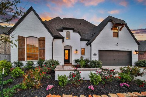 21319 Calico Aster Court Cypress TX 77433