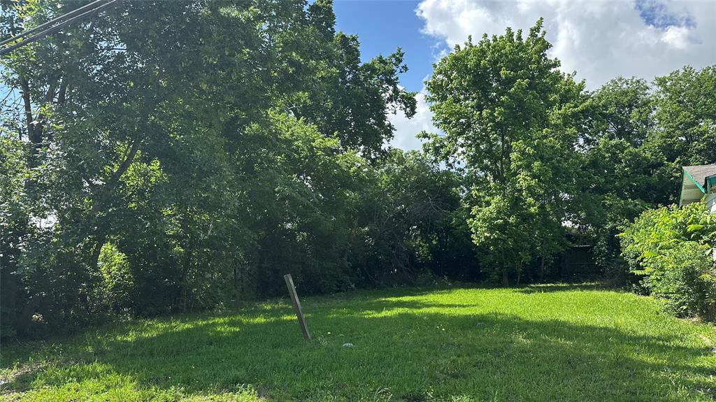 3540 Mainer Street, Houston, Texas image 1