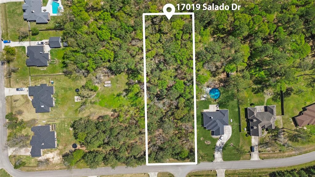 17019 Salado Drive, Splendora, Texas image 1