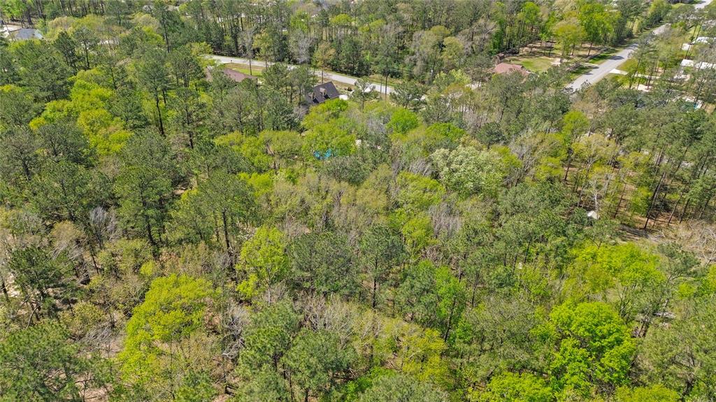 17019 Salado Drive, Splendora, Texas image 7