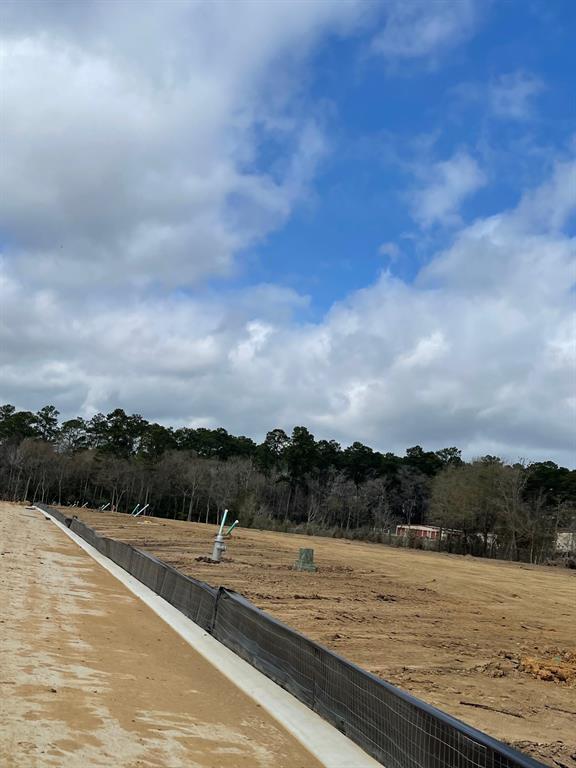 12019 Curlin Drive, Willis, Texas image 3
