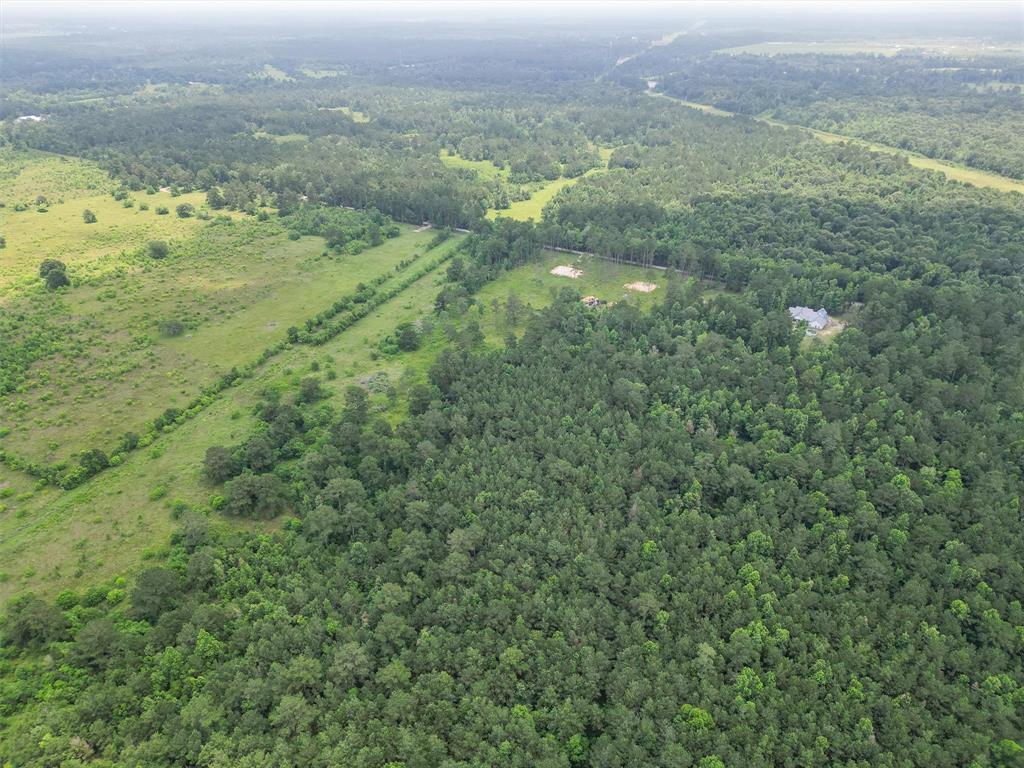 700 County Road 301, Dayton, Texas image 8