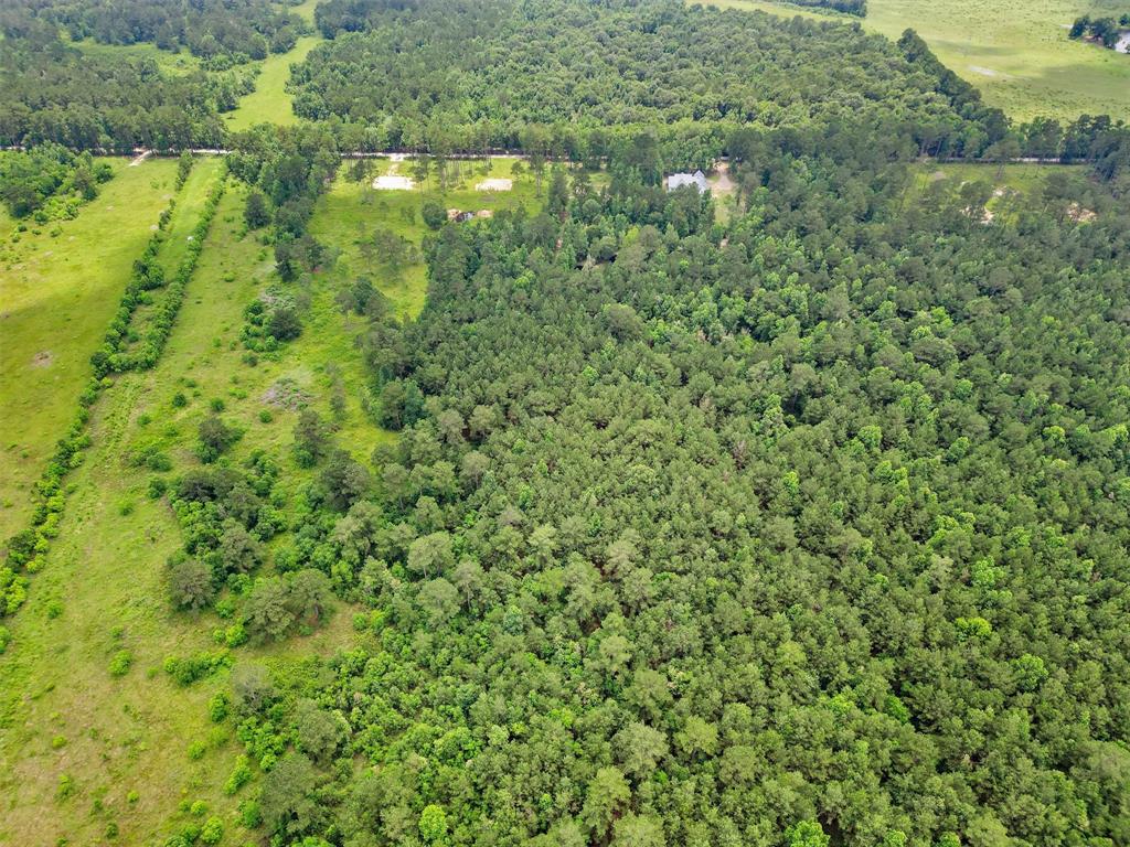 700 County Road 301, Dayton, Texas image 9