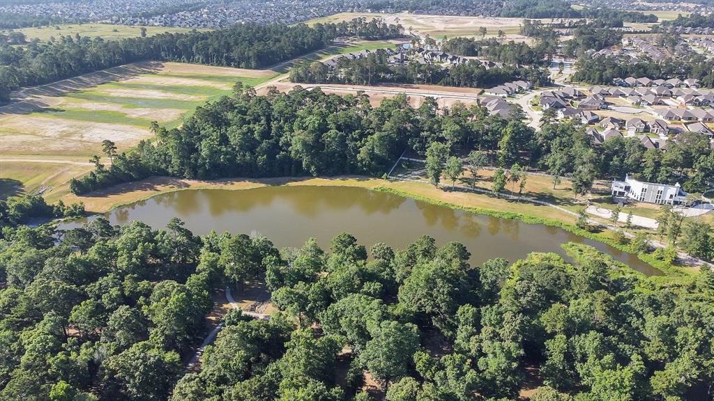 11943 White Oak Pass, Conroe, Texas image 6