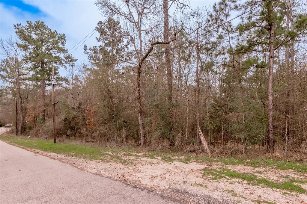 18 Hickory Bend, Riverside, Texas image 4