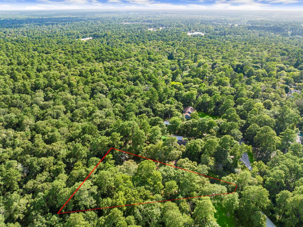 108 Hereford Drive, Conroe, Texas image 12