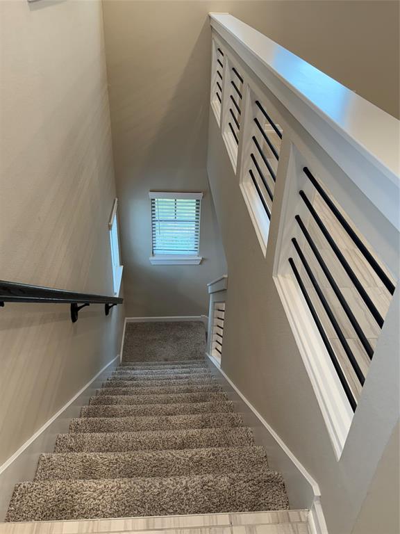 7623 Green Bulrush Way, Katy, Texas image 16