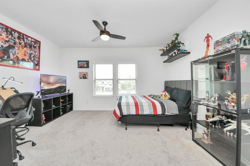 30706 Thicket Court Ct, Fulshear, Texas image 27