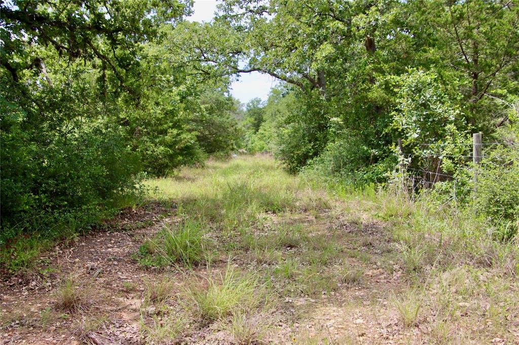 TBD Bernard Road