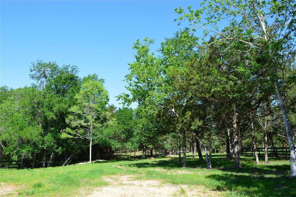 Fm-2447, Chappell Hill, Texas image 2