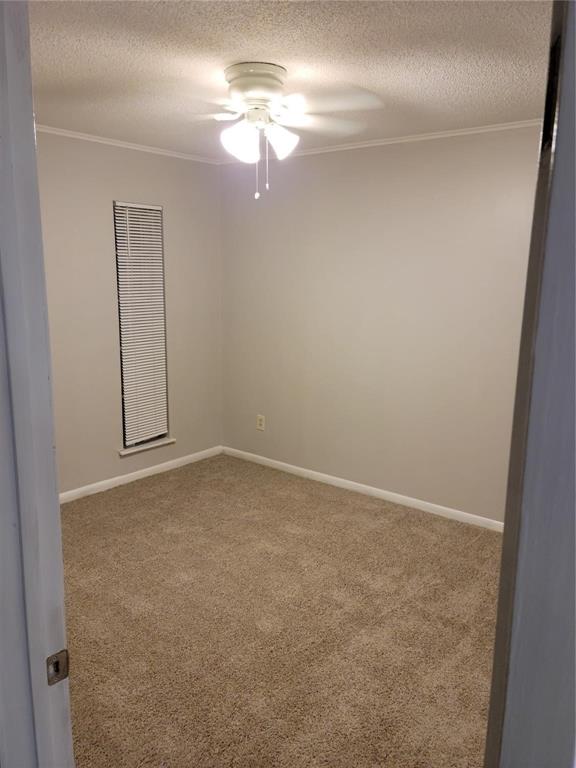 343 Windsor Square, Alvin, Texas image 11