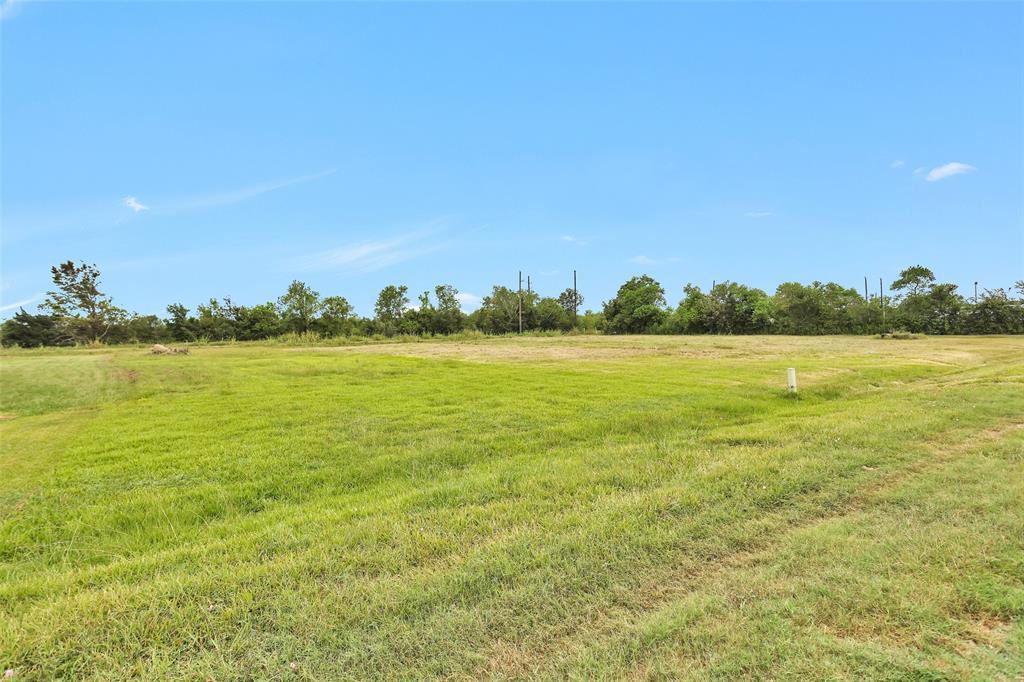 Lot 157 Wolfe Airpark, Manvel, Texas image 5