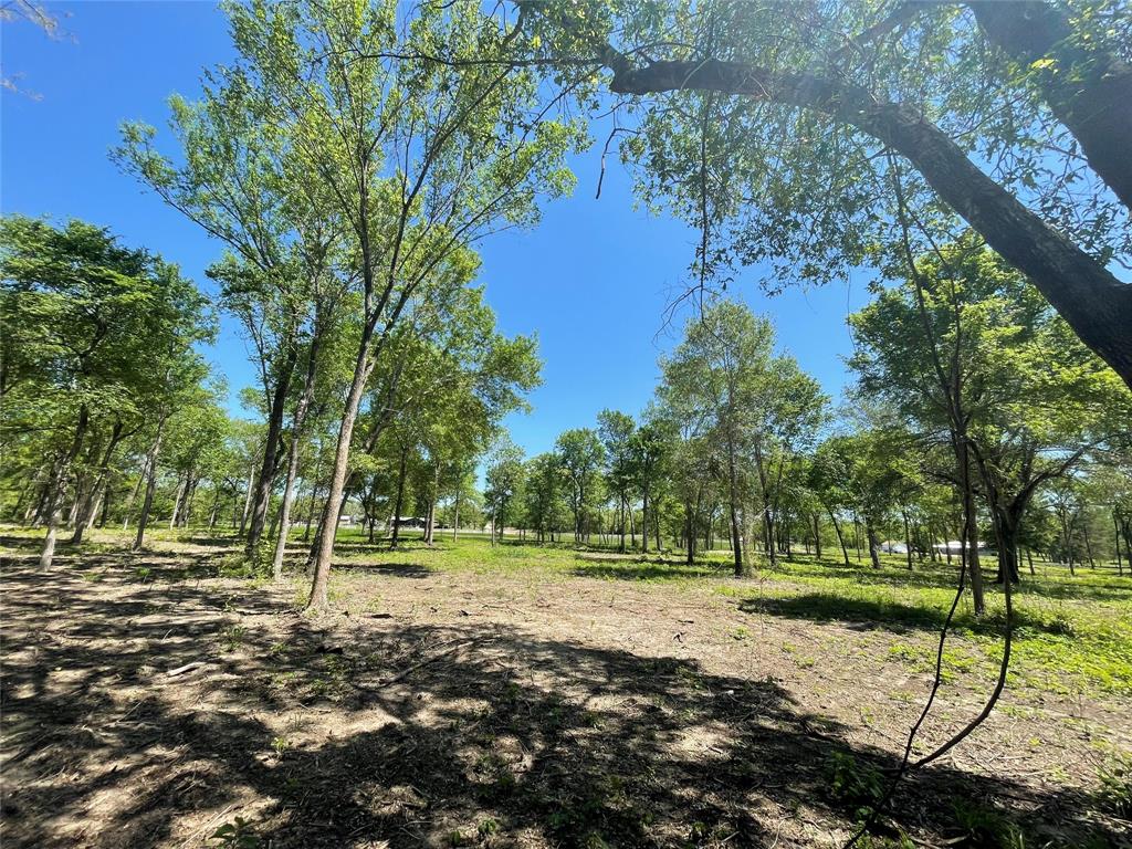 TBD Private Road 4016, Snook, Texas image 14