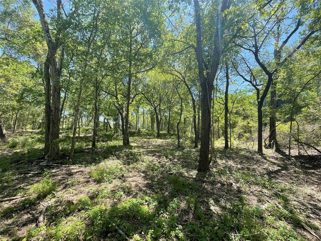 TBD Private Road 4016, Snook, Texas image 12