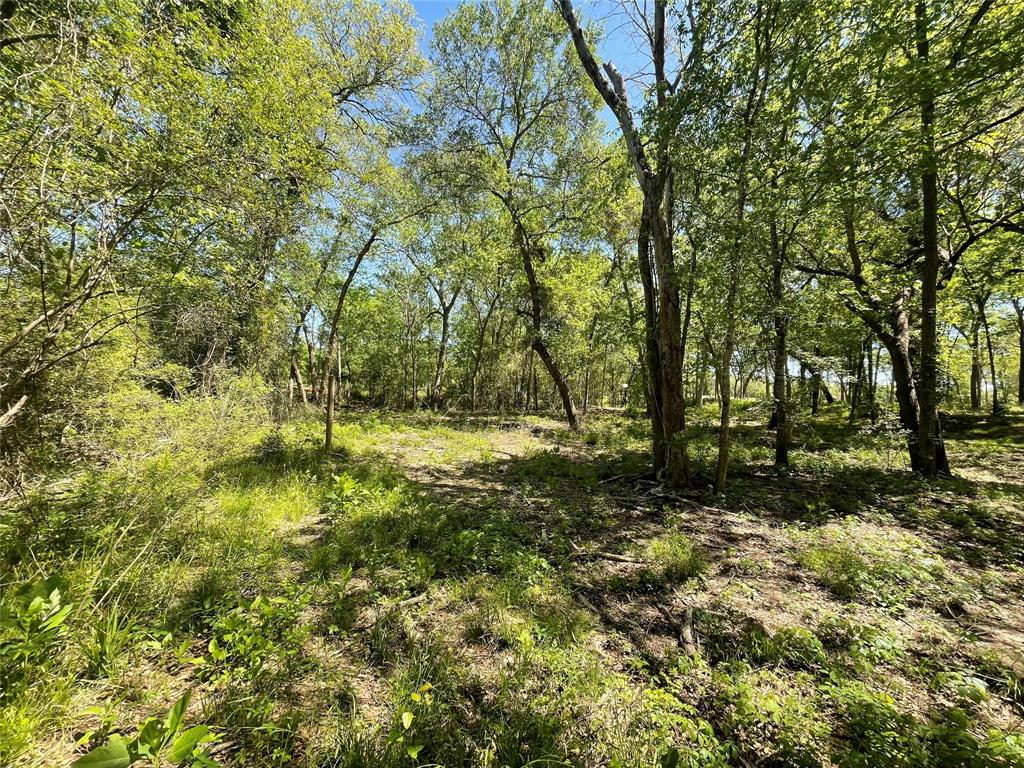 TBD Private Road 4016, Snook, Texas image 13
