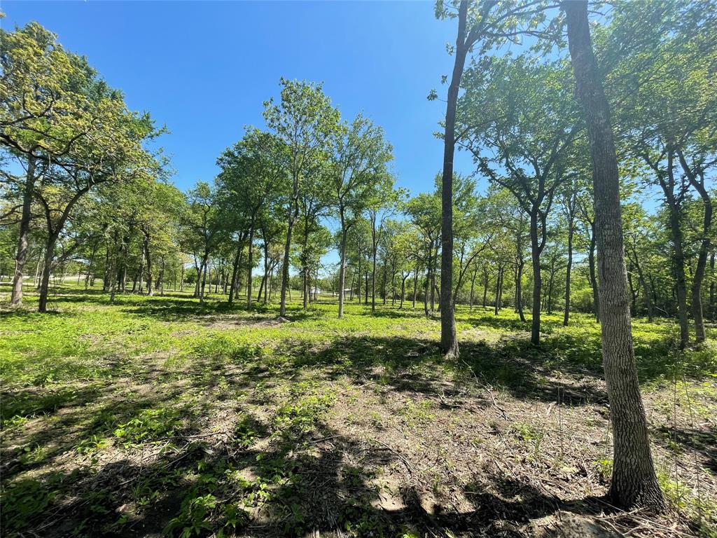 TBD Private Road 4016, Snook, Texas image 17