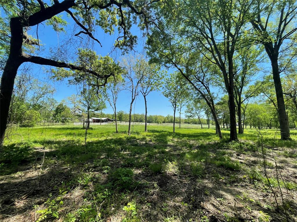 TBD Private Road 4016, Snook, Texas image 9