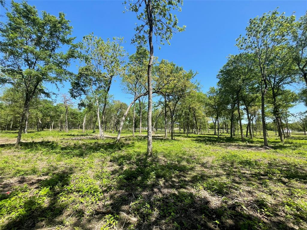 TBD Private Road 4016, Snook, Texas image 18