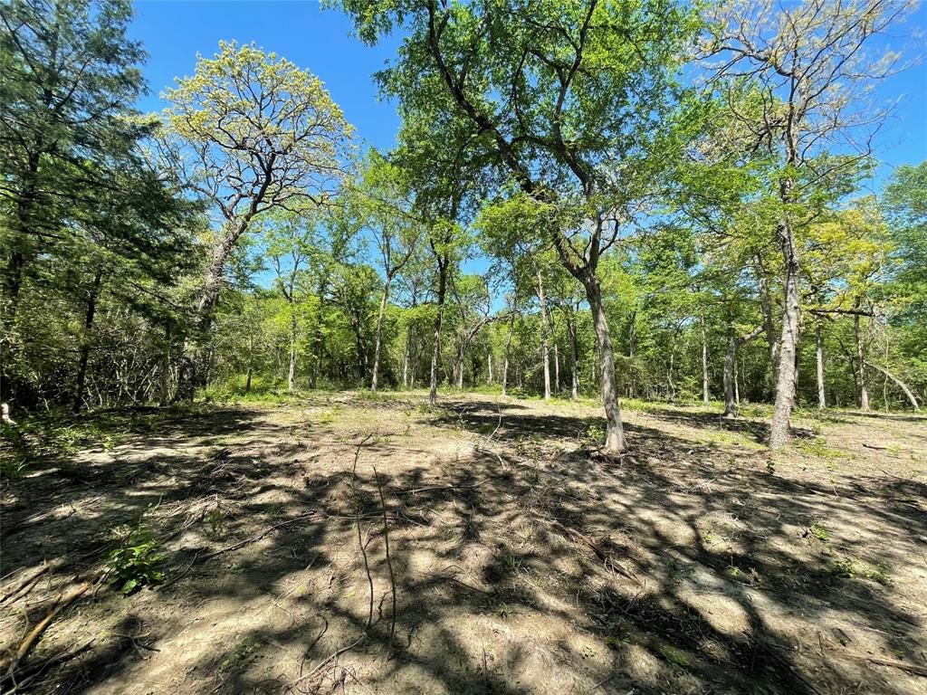 TBD Private Road 4016, Snook, Texas image 16