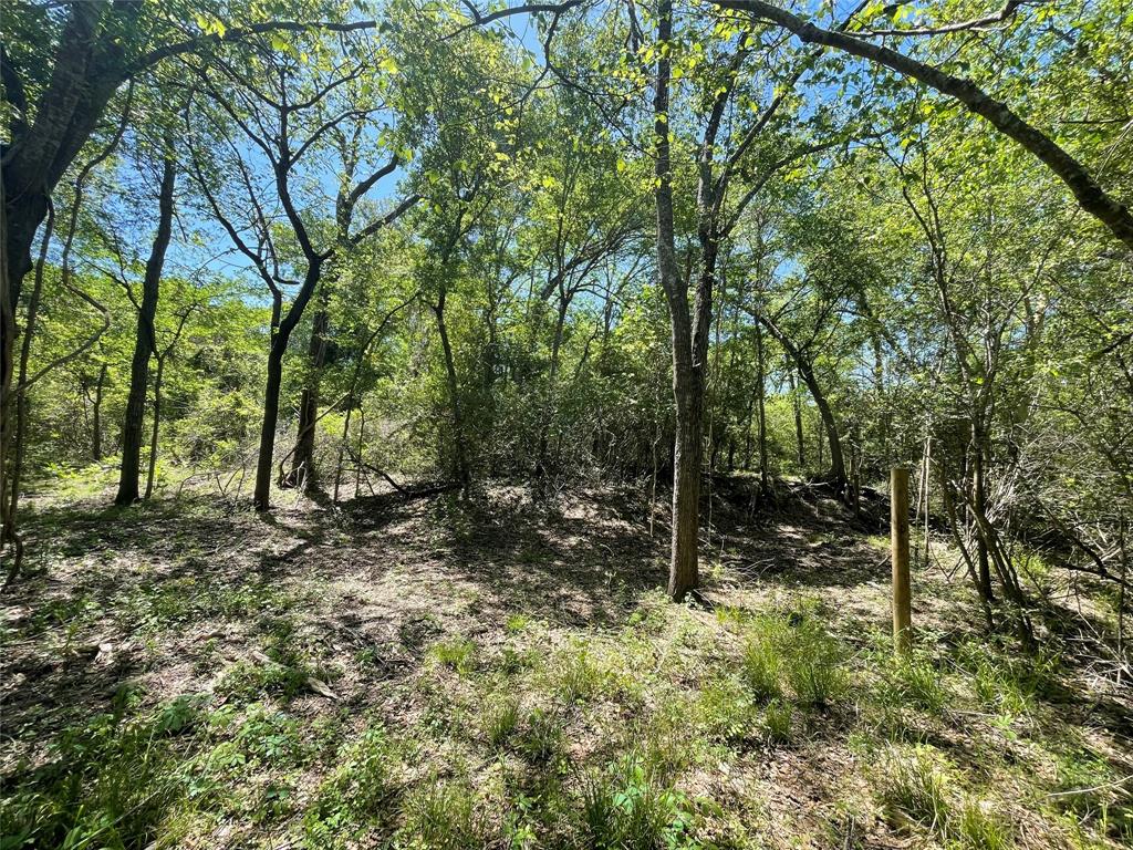TBD Private Road 4016, Snook, Texas image 11