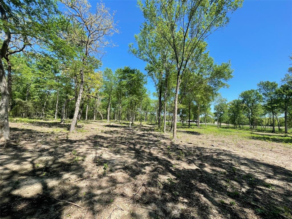 TBD Private Road 4016, Snook, Texas image 15