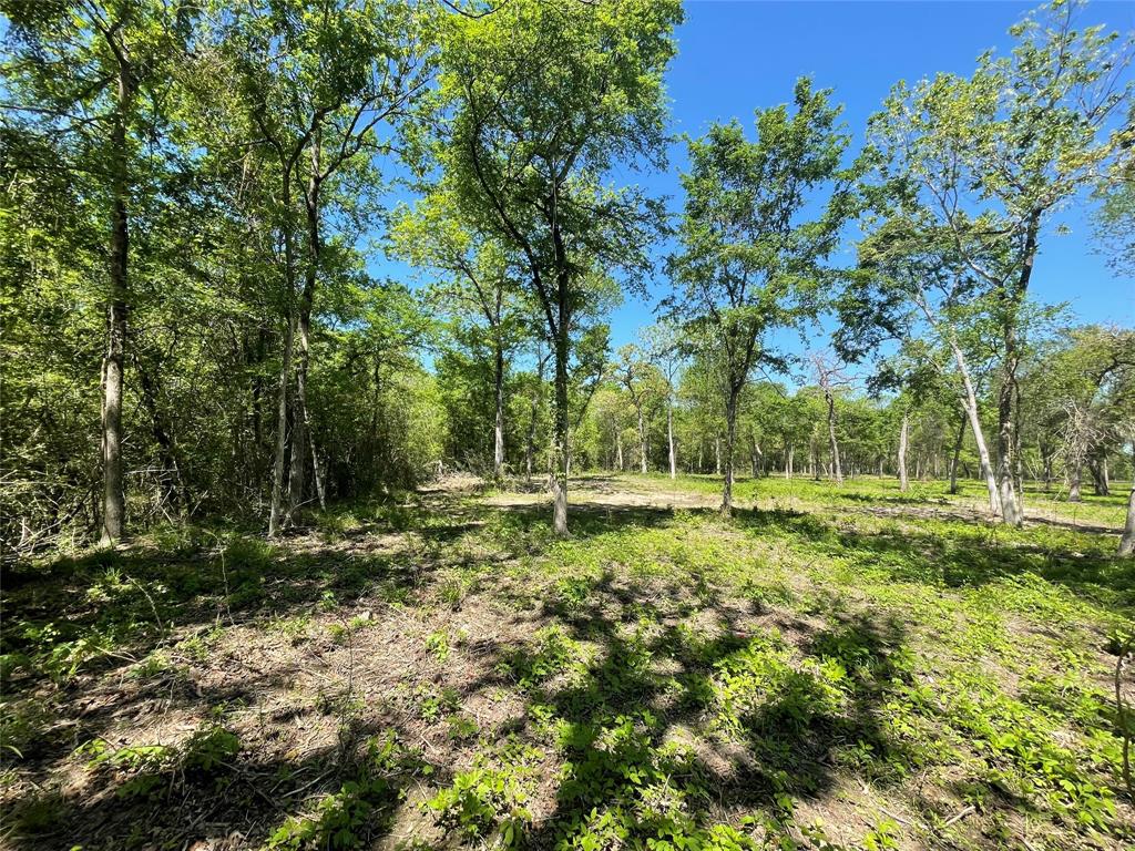 TBD Private Road 4016, Snook, Texas image 19