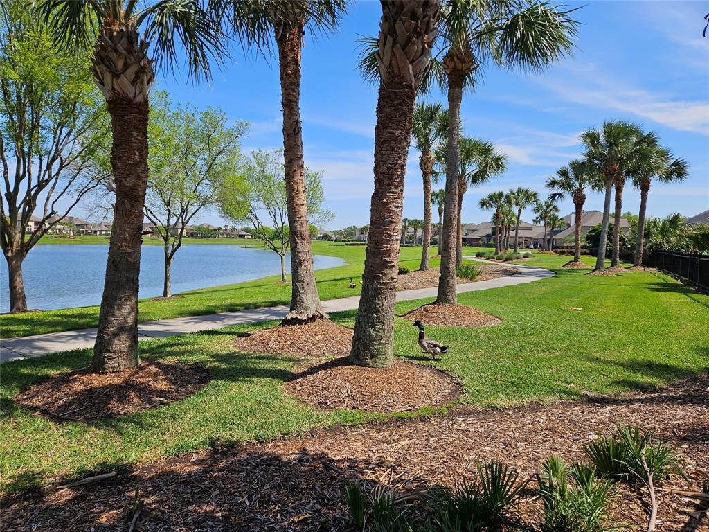 4518 Balearic Island Court, League City, Texas image 43