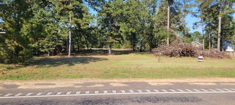Photo of 0 Palmetto Drive, Livingston, TX 77351 (MLS # 96920594)