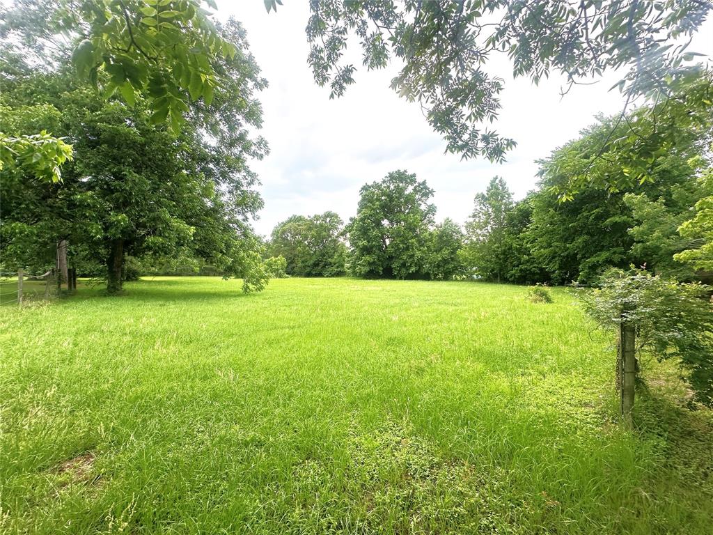 2257 Fm 230, Trinity, Texas image 6
