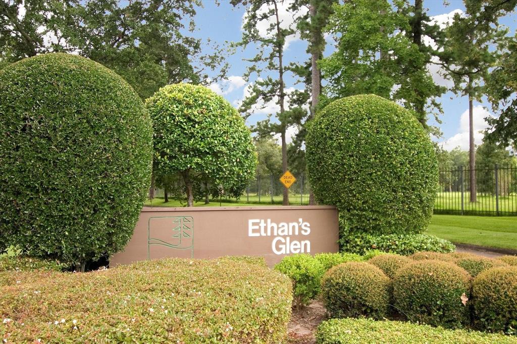 386 Litchfield Lane, Houston, Texas image 6
