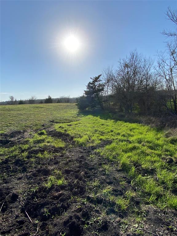 5914 Guettermann-ehler Road, Muldoon, Texas image 10