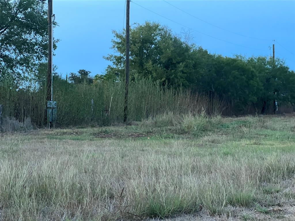 Lot 8 And 1/2 9 Horseshoe Drive, Gonzales, Texas image 22