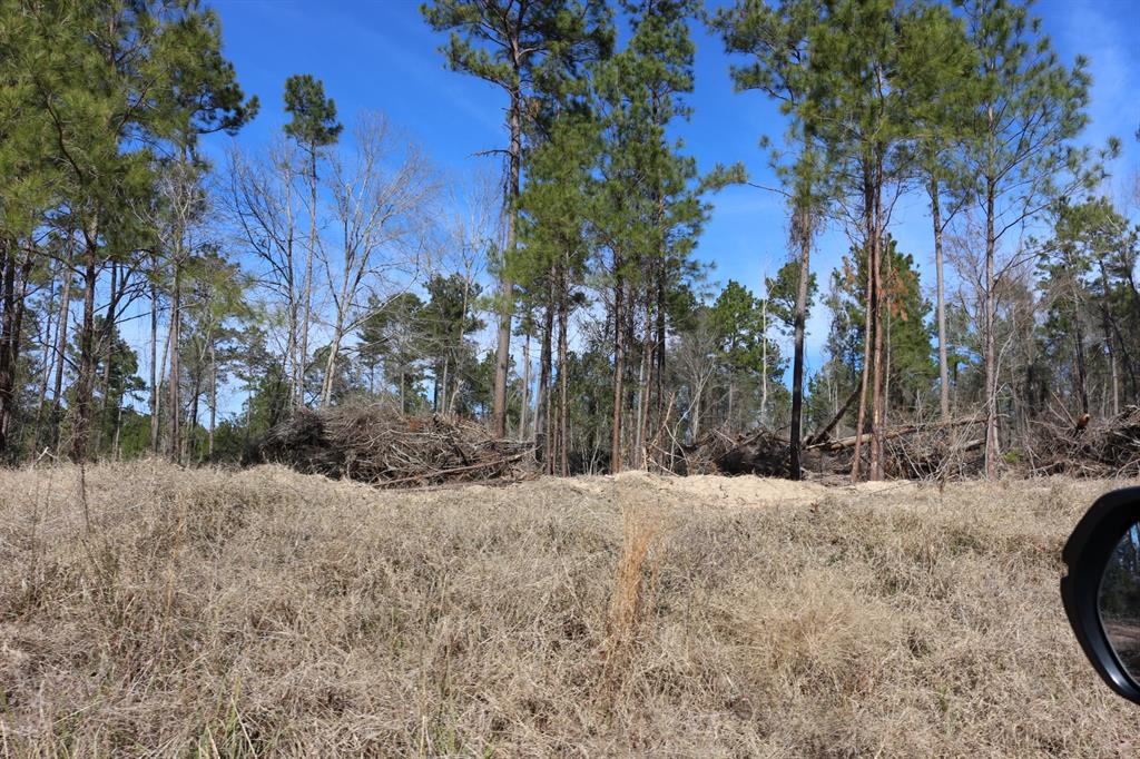 5-2 N Hwy 356, Onalaska, Texas image 43