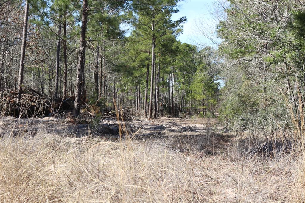 5-2 N Hwy 356, Onalaska, Texas image 27