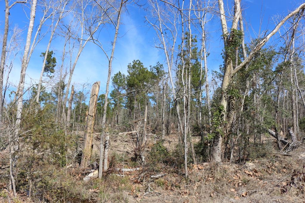 5-2 N Hwy 356, Onalaska, Texas image 39