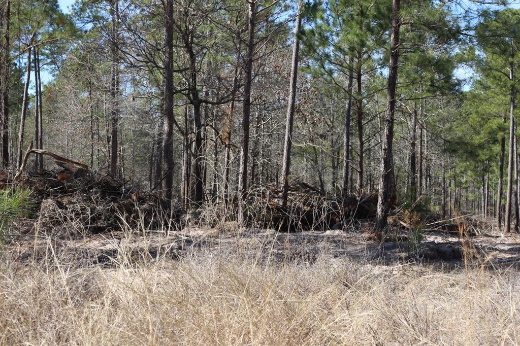 5-2 N Hwy 356, Onalaska, Texas image 28