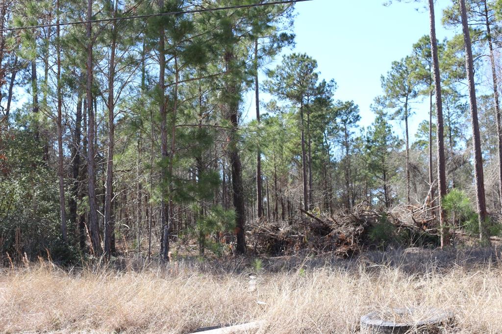 5-2 N Hwy 356, Onalaska, Texas image 26
