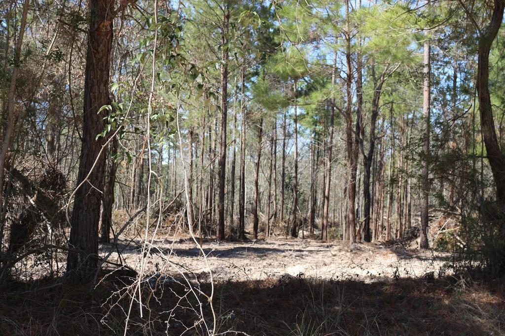 5-2 N Hwy 356, Onalaska, Texas image 7