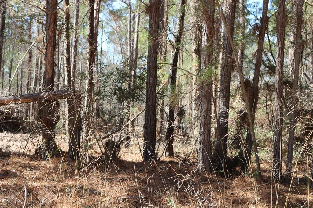5-2 N Hwy 356, Onalaska, Texas image 12