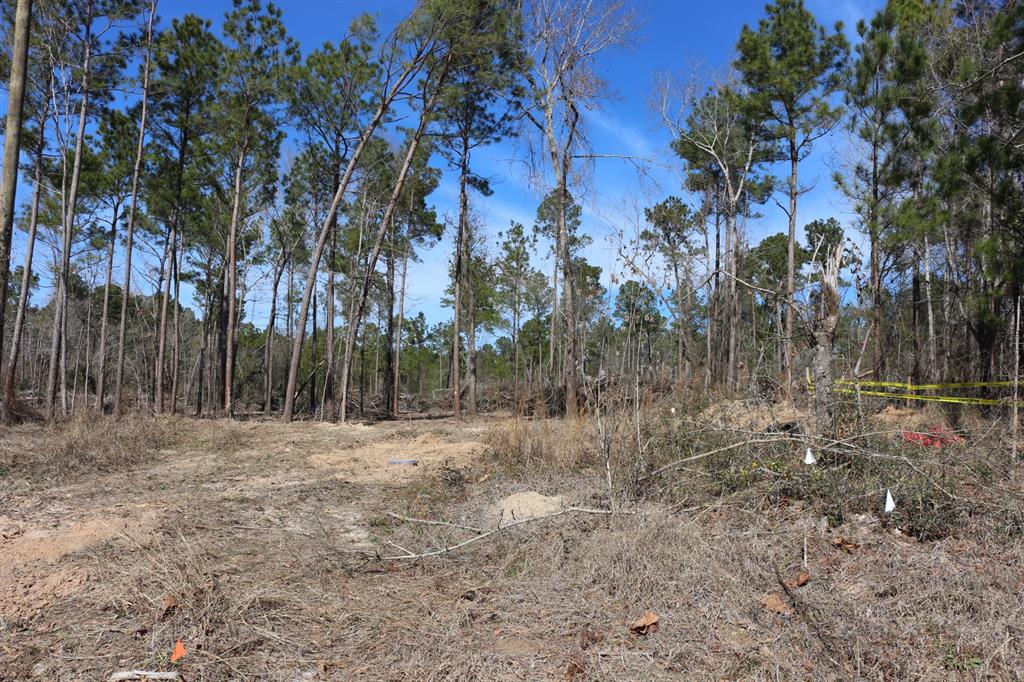 5-2 N Hwy 356, Onalaska, Texas image 42