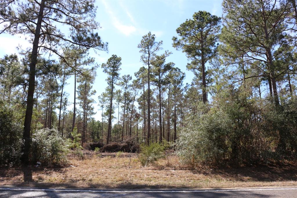 5-2 N Hwy 356, Onalaska, Texas image 46